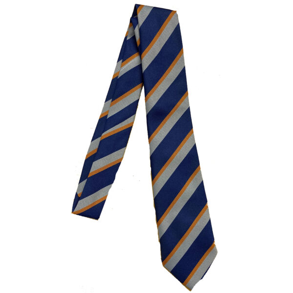 Northleigh Primary School Tie Thumbnail